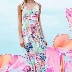 Lilly Pulitzer Sloane v-neck maxi dress